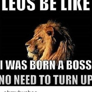 Meet your Posher, Frankie